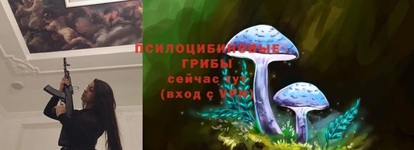 спиды Алзамай