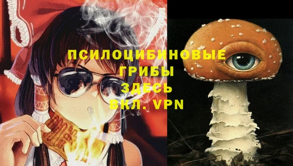 бошки Алексин