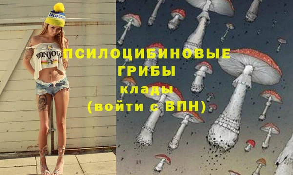 гидропоника Алексеевка