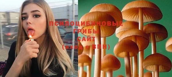 спиды Алзамай