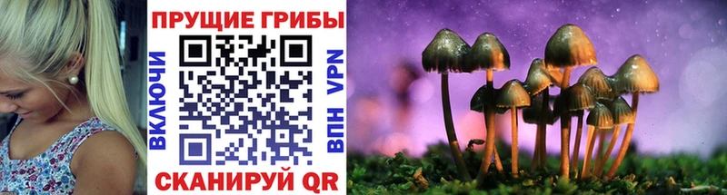 Галлюциногенные грибы мухоморы Дюртюли